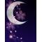 MOONCHILD☆の巣