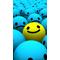 [D:F991]DON'T FACK WHIS[D:F991]