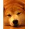集まれ堀中生