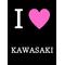 [A:F37E]KAWASAKI愛好会[A:F37E]