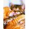 [V:4F4E]新中1集まれ[V:4F4E][V:4741]