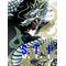 -Sperbe Tigre稲穂-