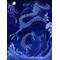 ～龍(Dragon)～