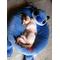 [V:4F49]ねこﾁｬﾝ[V:4F49]