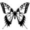 Butterfly I loveｄ[D:F8EE]